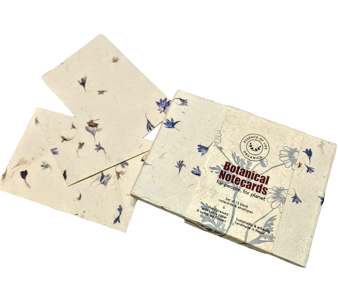 Botanical Blank Notecards and Envelopes