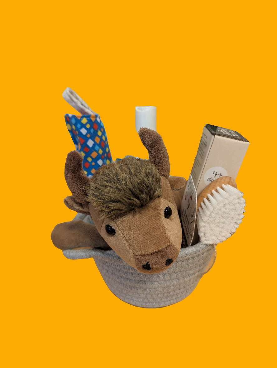 New Baby Gift Basket