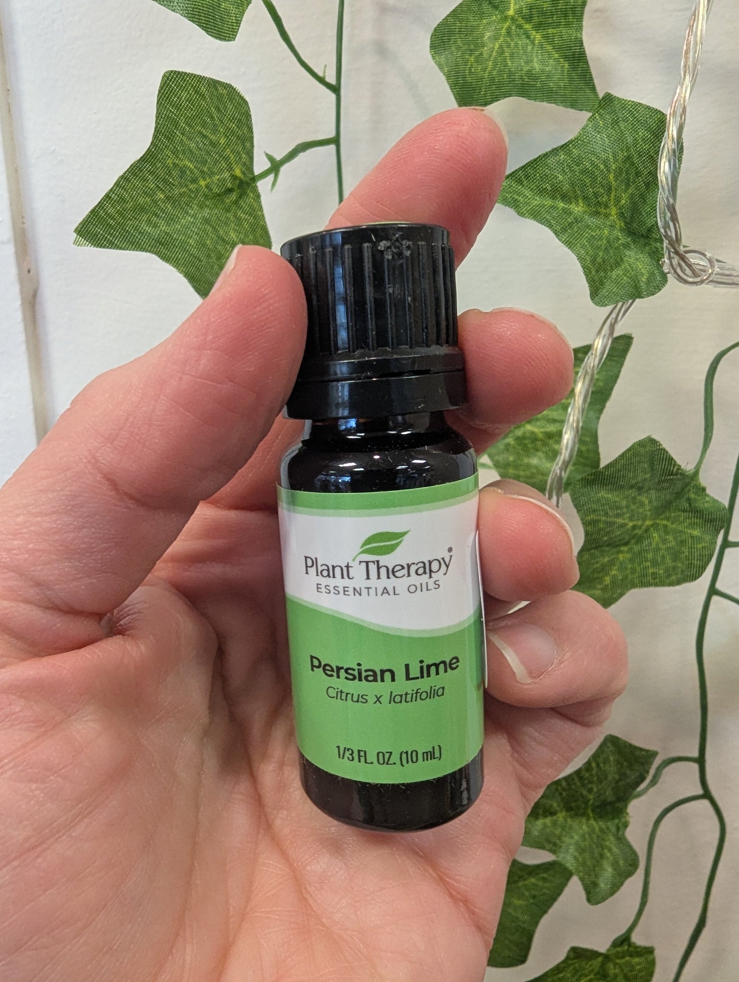 Plant Therapy Persian Lime Essential Oil