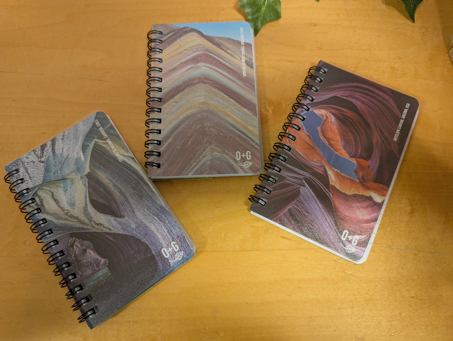 Onxy and Green Notebook