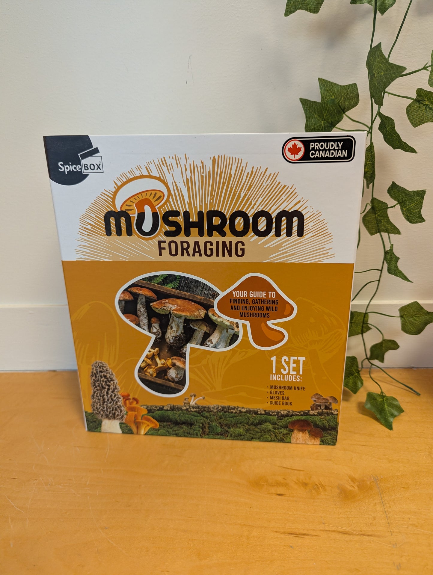 Spice Box mushroom Forging Kit