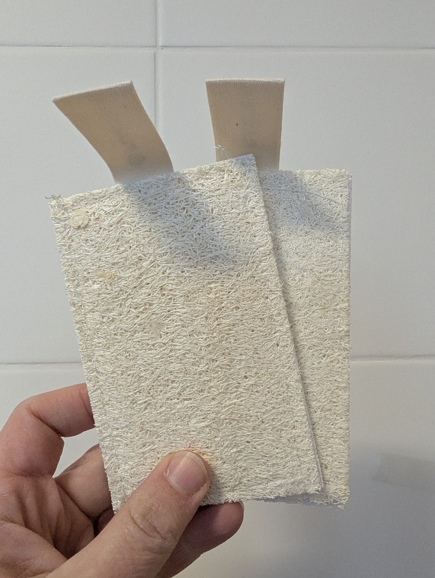 Plantish Pop Up Plastic Free Sponges-Set of 2