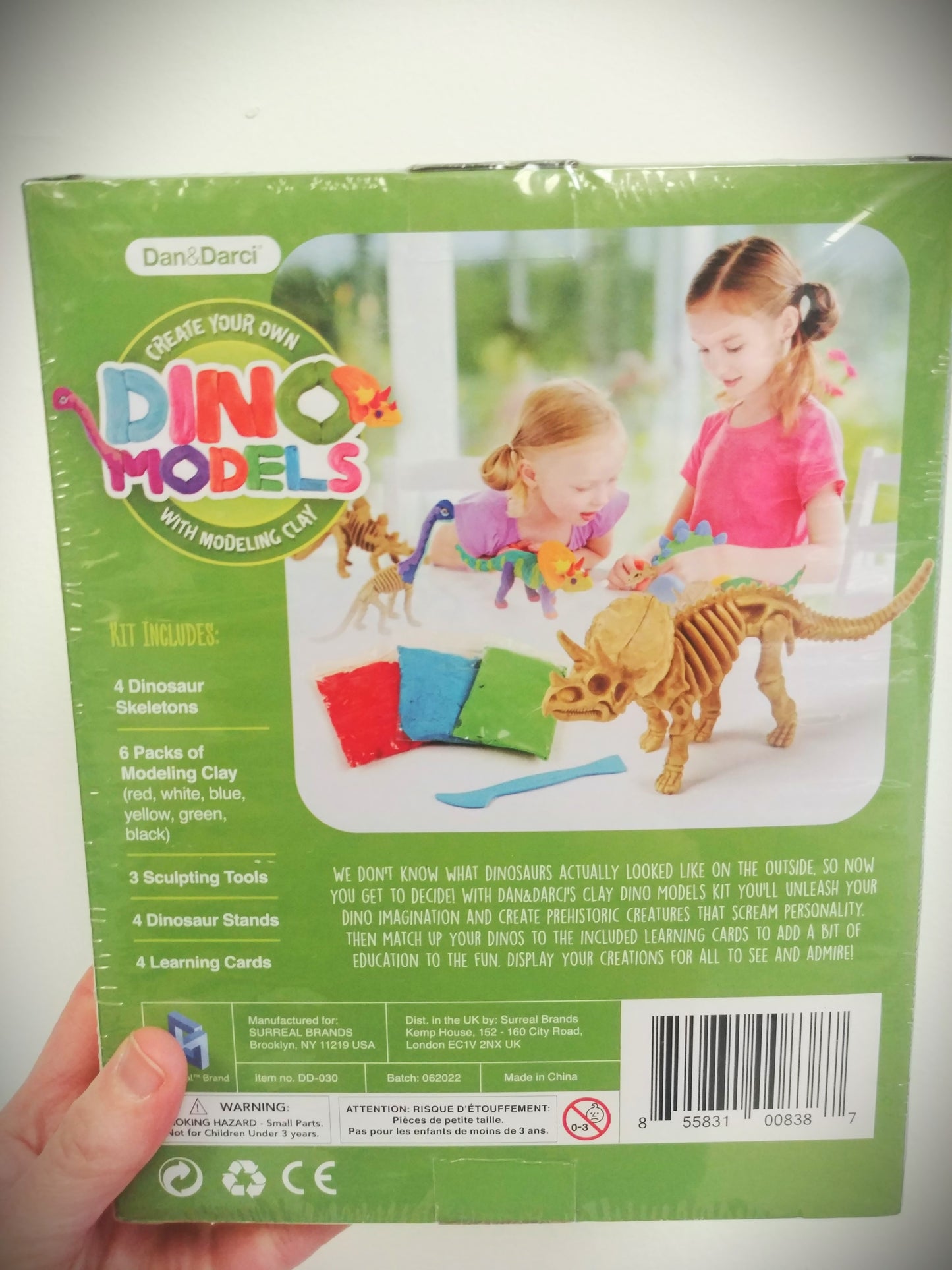 Dino Clay And Skeleton Models