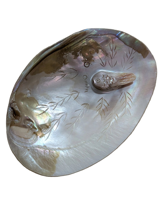 Australian Abalone Shell With Carved Out Fish Design