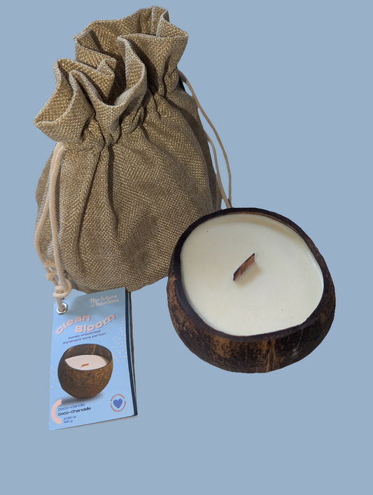 Unscented Soy Candle in Coconut Shell