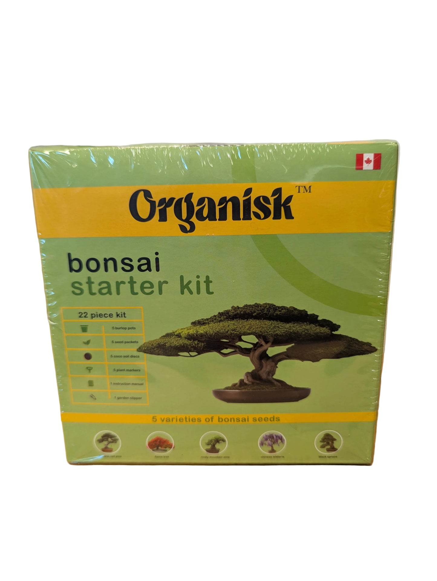 Organisk Bonsai Starter Kit