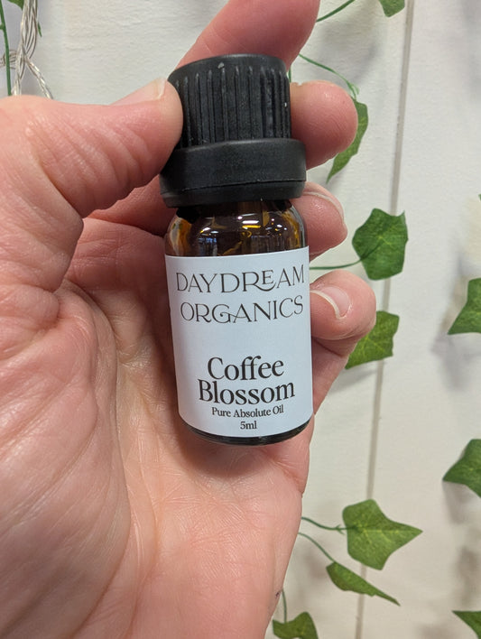 Daydream Organics Coffee Blossom Essential Oil