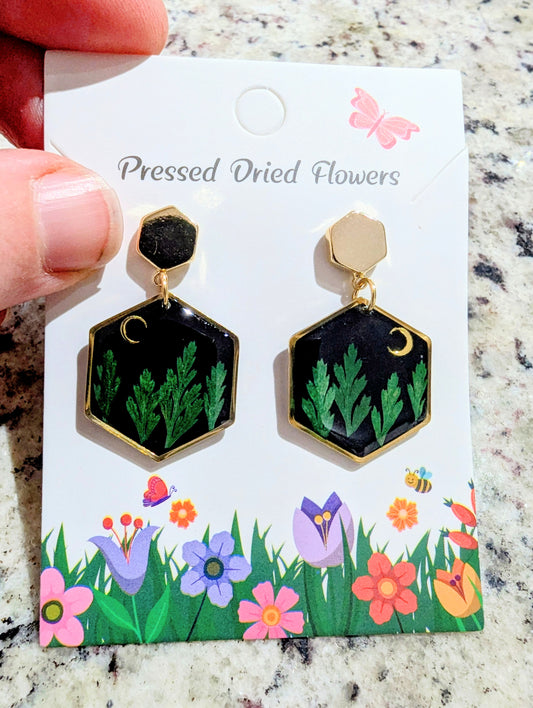 Moon In The Night Earrings