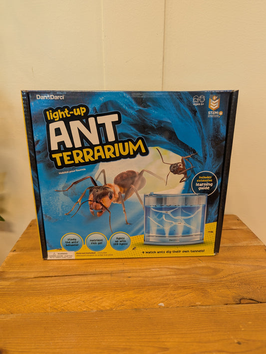 Dan and Darci Light Up Ant Farm