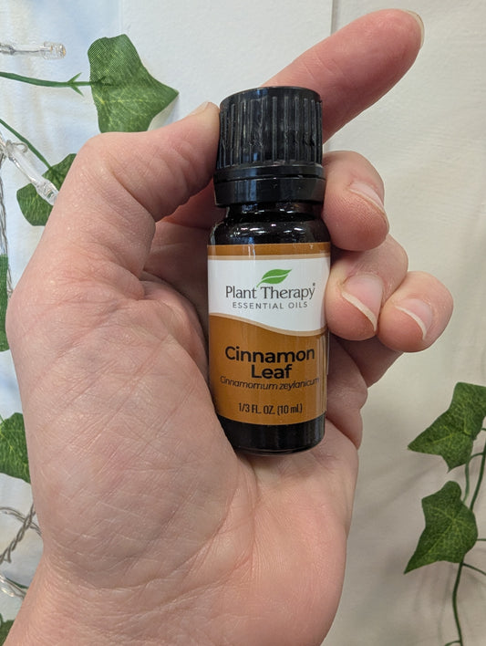 Plant Therapy Cinnamon Leaf Essential Oil