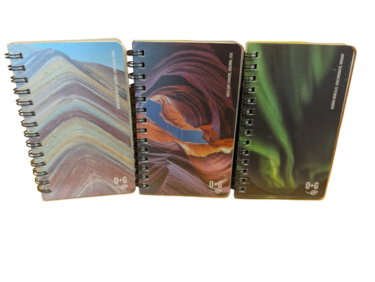 Onxy and Green Notebook