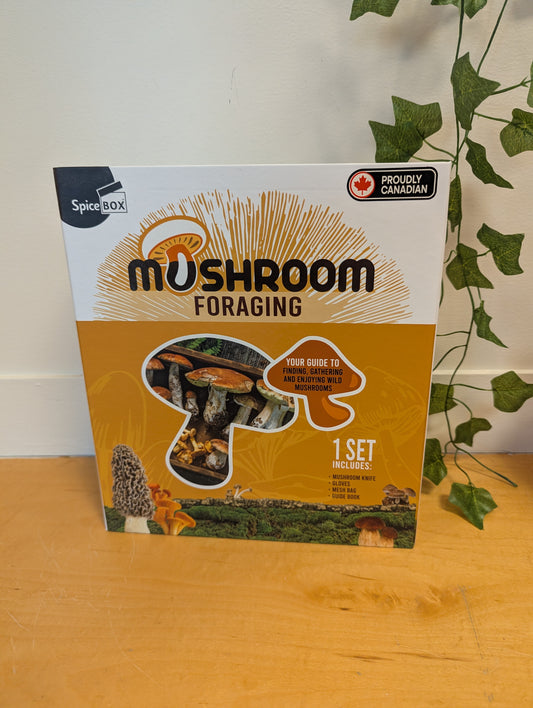 Spice Box mushroom Forging Kit