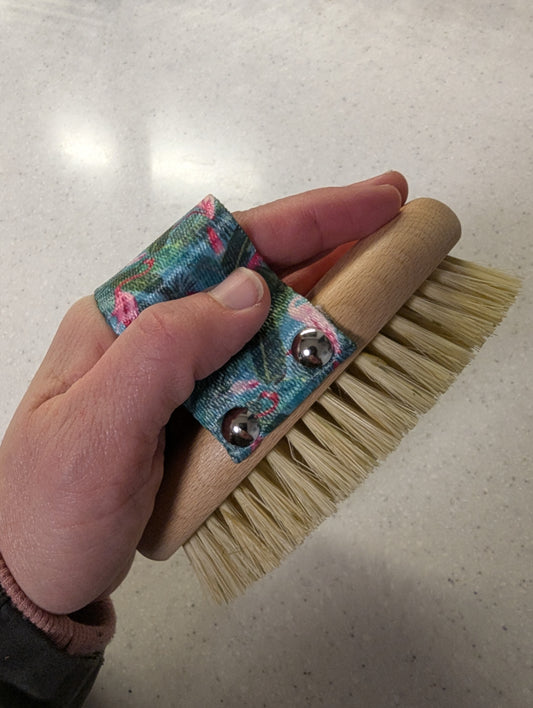 Dry Brush With Handle